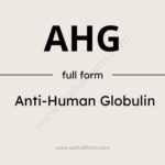 AHG Full Form: What Does AHG Stand For?